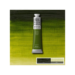 W&N Winton Oil 200ml - Sap Green 599