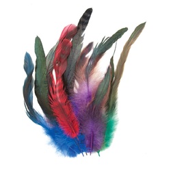 Feathers Cocktail 10 to 30cm Assorted Colours Pack of 18