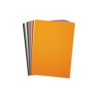 Cover Paper 125gsm A2 Assorted Colours 500 Sheets