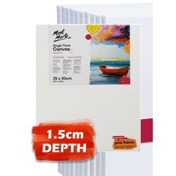 Carton of 20 Studio Single Thick Canvas 25 x 30 cm 