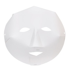 Fold Up Face Mask 21cm Wide Pack of 40