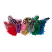 Guinea Fowl Feathers 4-10cm Assorted Colours 25g Bag