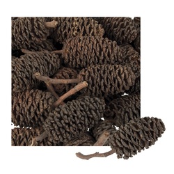 Small Pine Bud Cones 220g