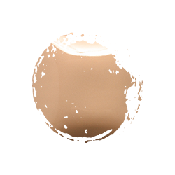 Mayco Stroke & Coat 473ml - Cashew Later