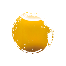 Mayco Stroke & Coat 473ml - Dandelion