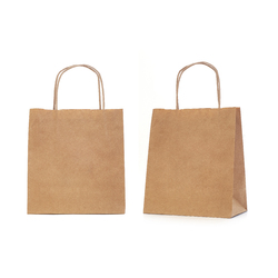 Paper Bags with Twist Handle Pack of 50 35 x 26 cm