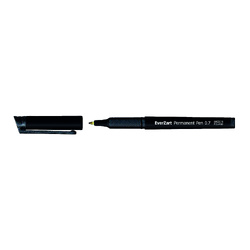 EverZart Permanent Pen Pk 20