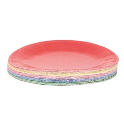 Glossy Coloured Paper Plates 23cm Pack of 50