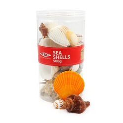 Seashells Assorted 500g