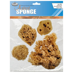 Organic Caribbean Sea Sponge Pack of 4