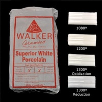 Superior White Porcelain Clay 10kg