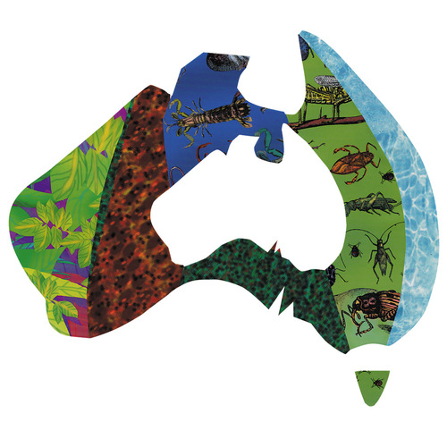 20% OFF-Australian Map Blank 35 x 16cm Pack of 10