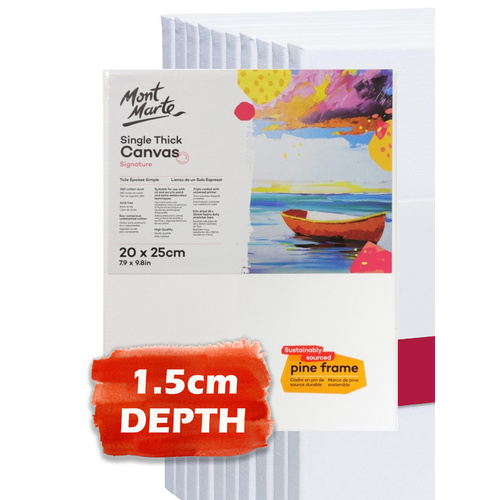 Carton of 30 Studio Single Thick Canvas 20 x 25 cm 