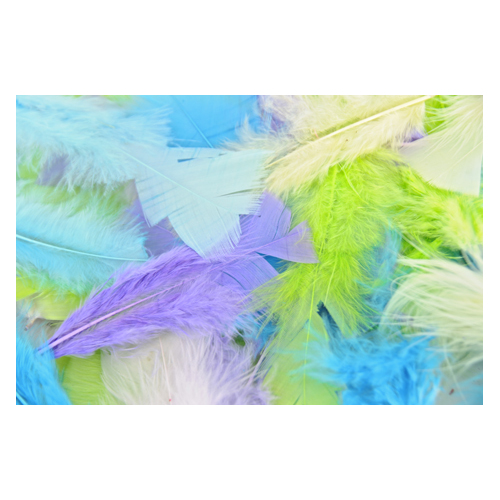 Turkey Feathers 15cm Assorted Pastel Colours 60g Bag