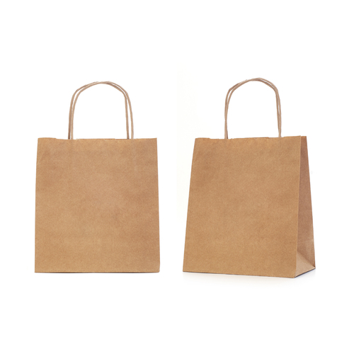 Paper Bags with Twist Handle 35 x 26cm Pack of 50 